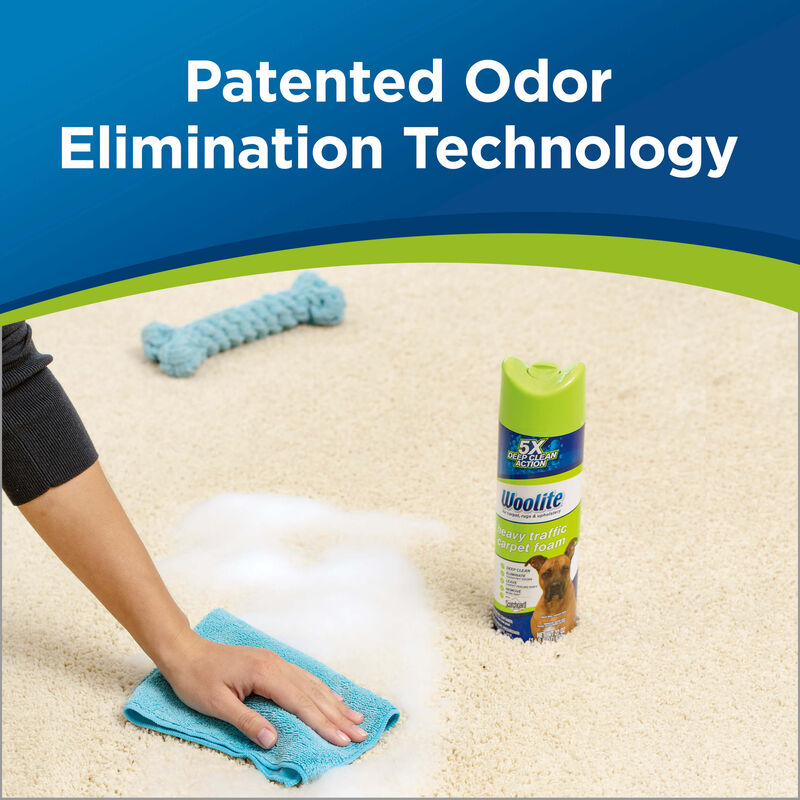 Woolite Heavy Traffic Foam Carpet Cleaner Woolite®